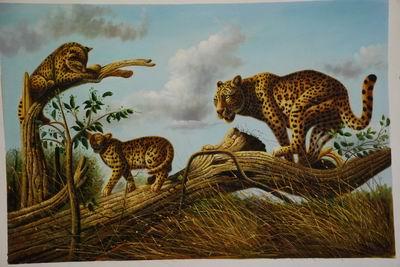 unknow artist Lions 030 oil painting image